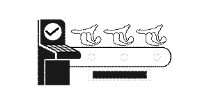 18 የምርት መስመሮች